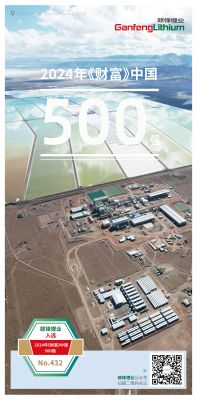 ٷƽ̨ҵѡ2024꡶Ʋй500ǿ